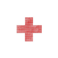 Ты поселилась у душі