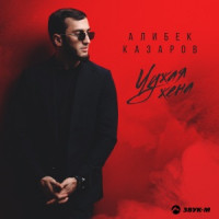 Ты поселилась у душі